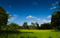 Agricultural plots landscape